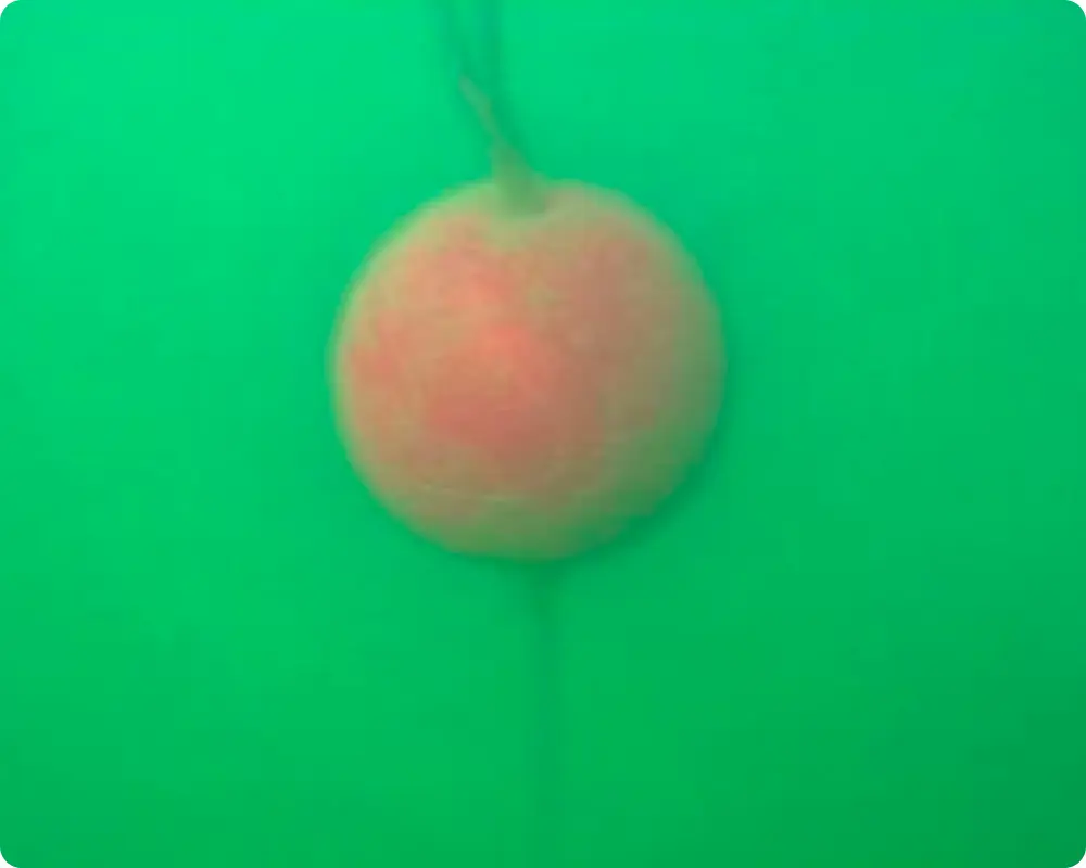 A red underwater buoy seen through a camera in turquoise water